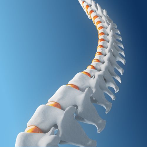 Ergo-Backcare